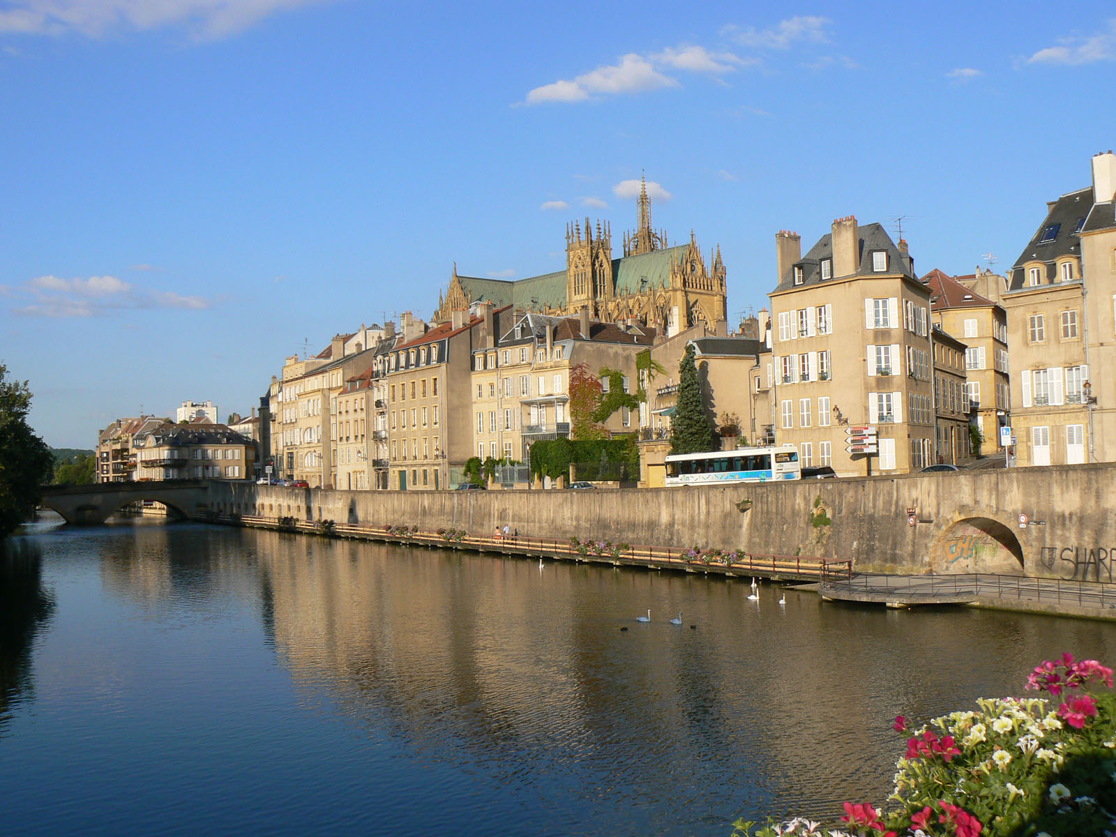 how to say travel sick in french