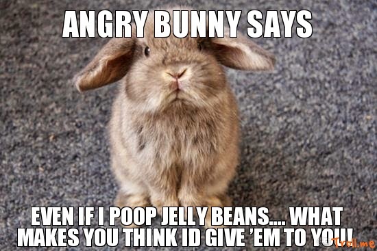 how to tell if your rabbit is going to die