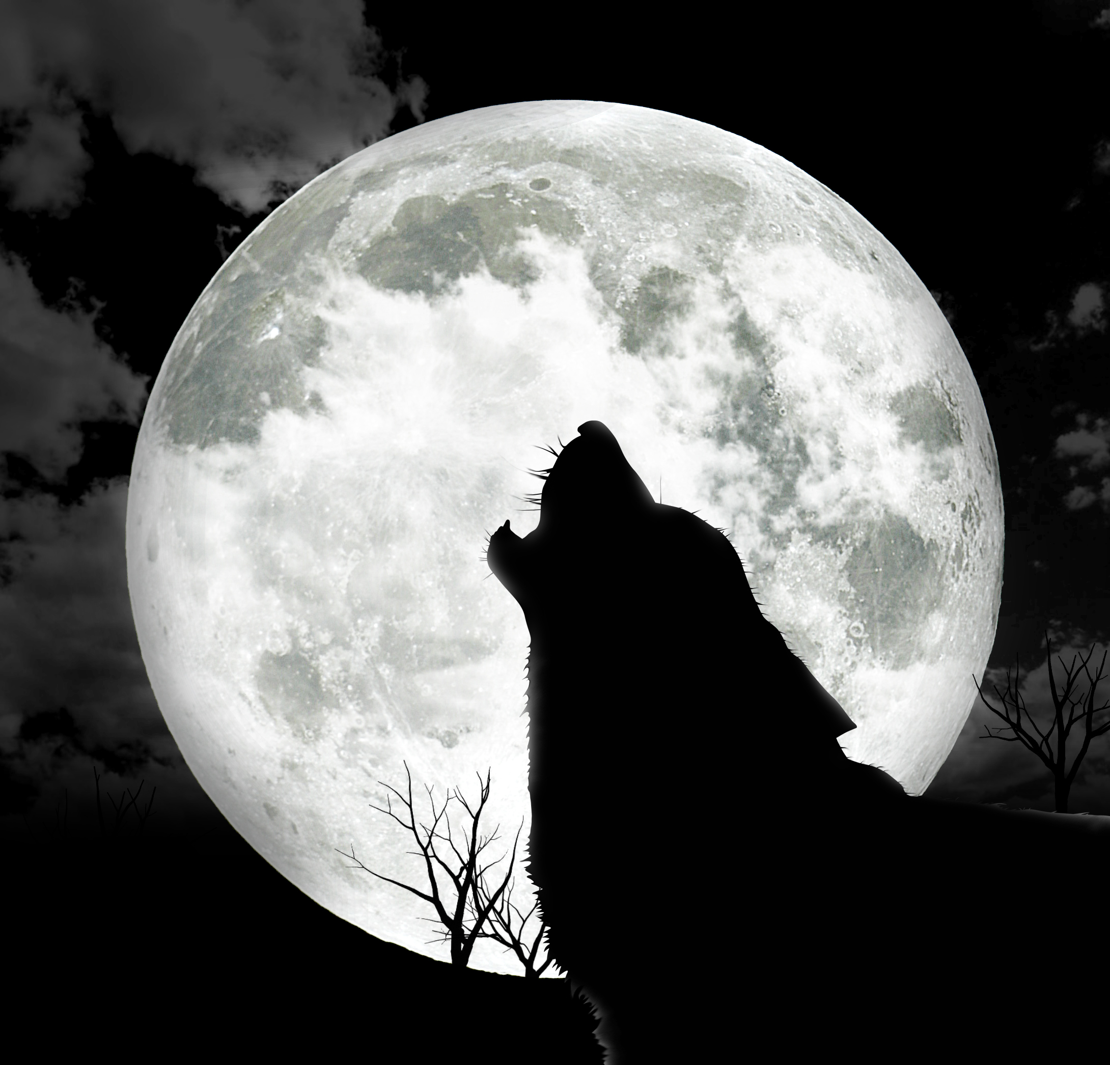 learn how to speak howl at the moon