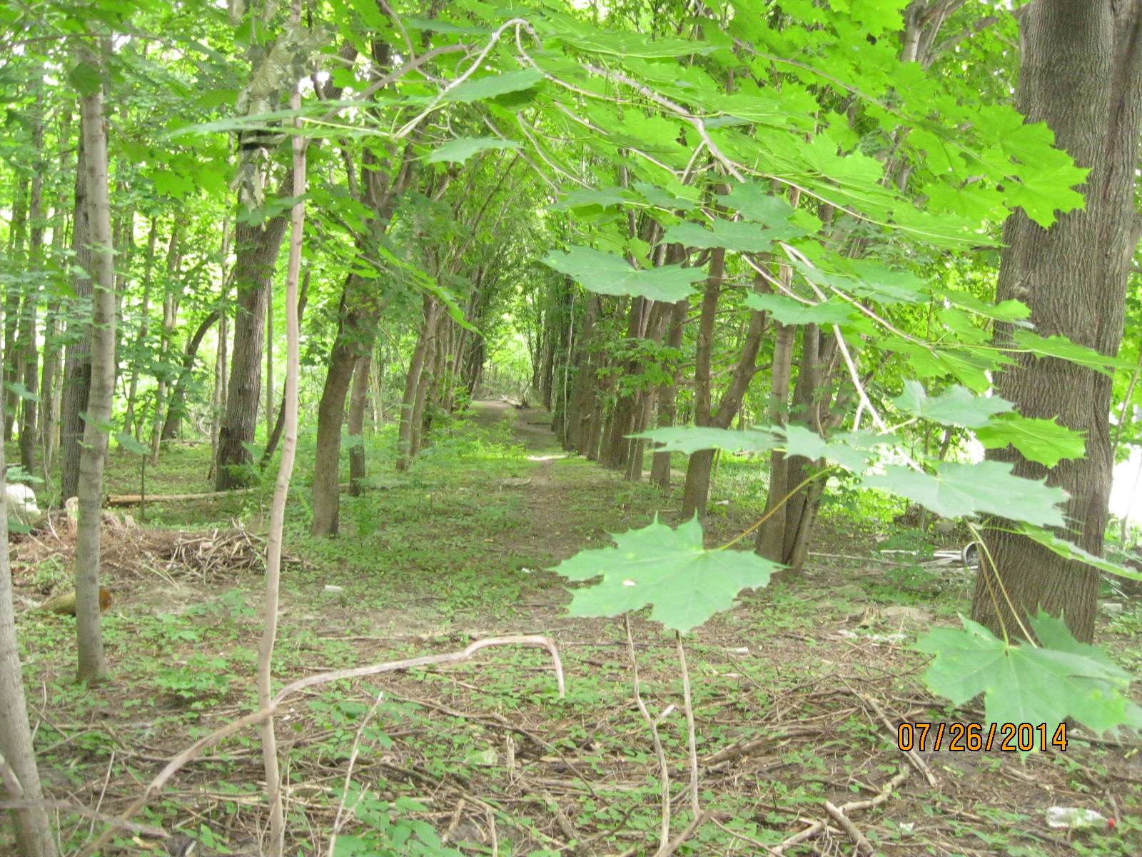 how to start hiking toronto