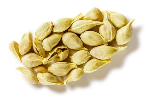 how to tell if pumpkin seeds are bad