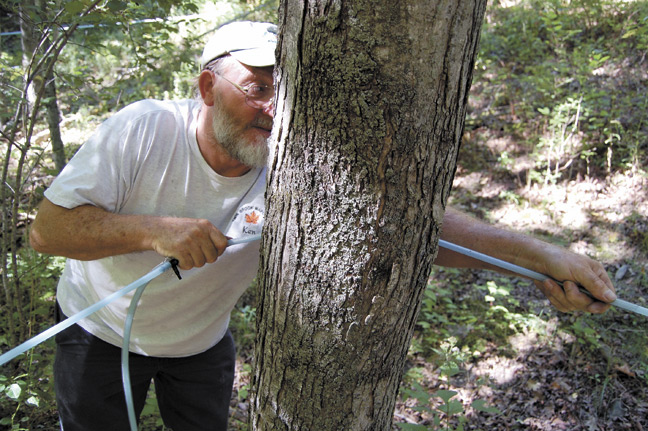 how to stop squirrels from eating my fruit trees