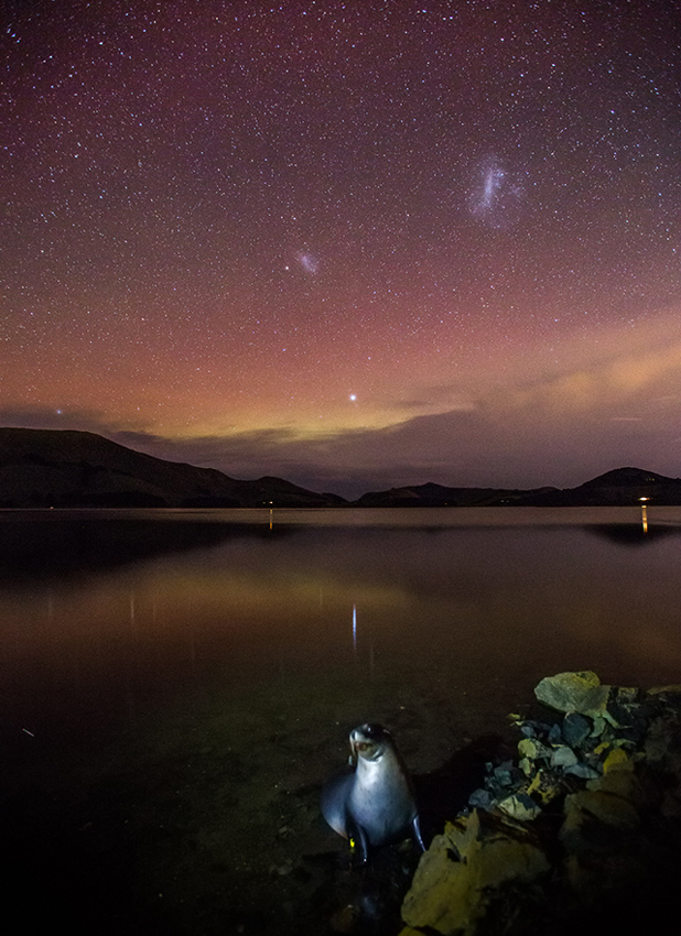 how to take aurora photos