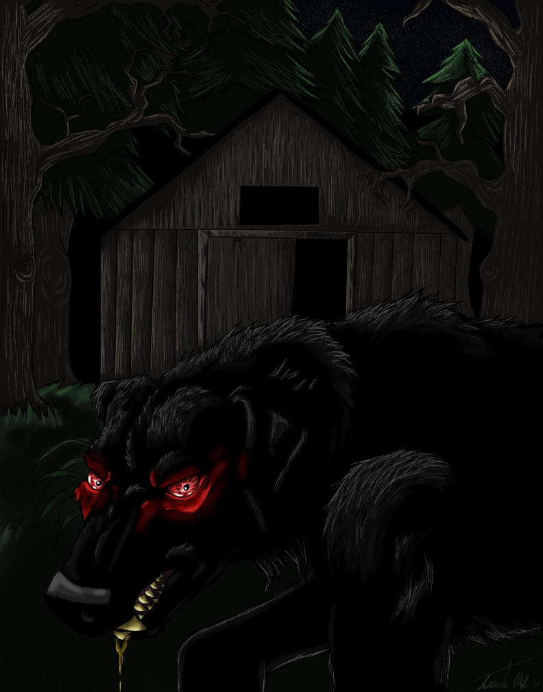 how to get my dog to stop barking at night