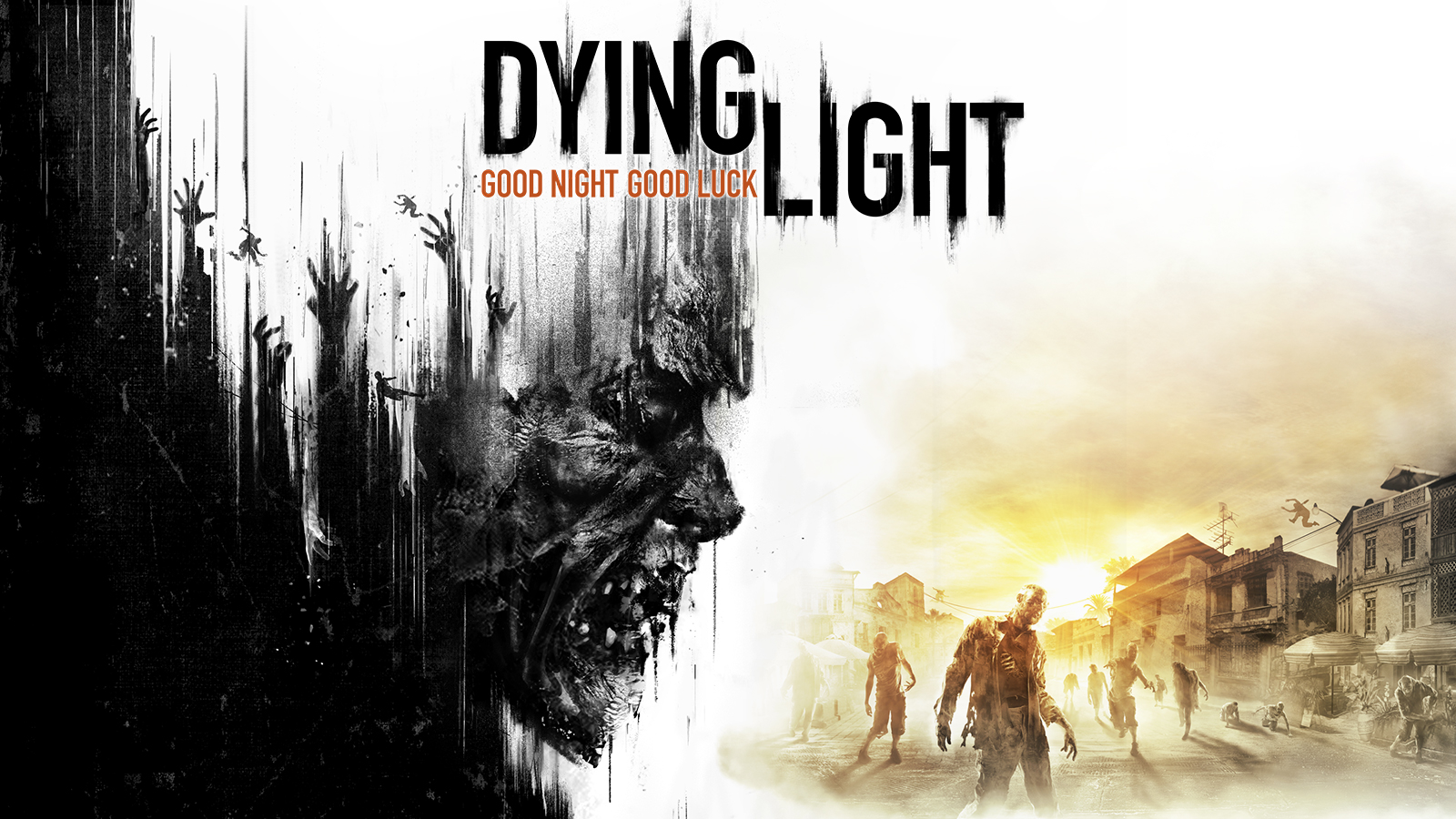 how to start dying light coop