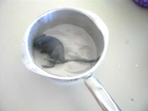 how to train your gerbil