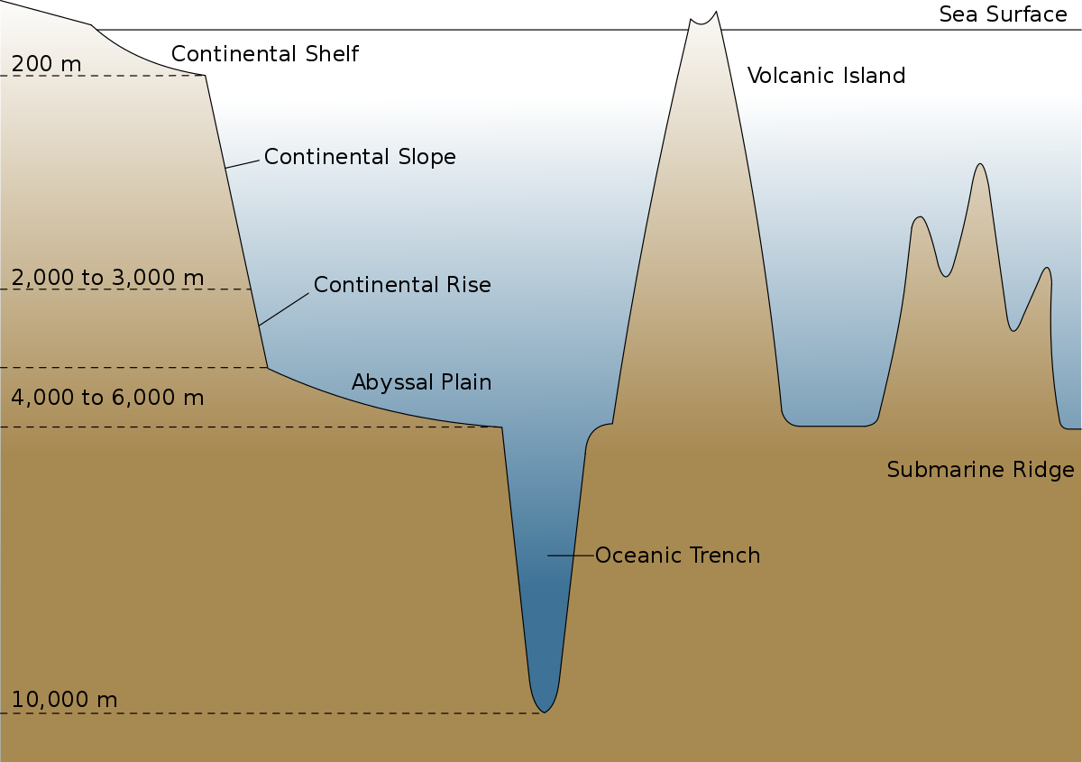 how to stop frm the ocean to rise