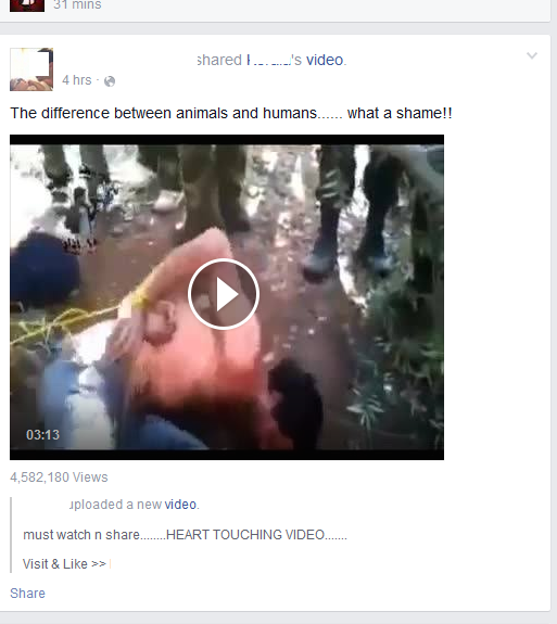 how to stop videos from playing on facebook news feed