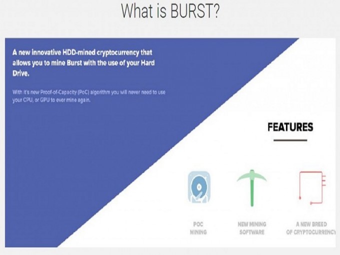 how to set up a burst wallet